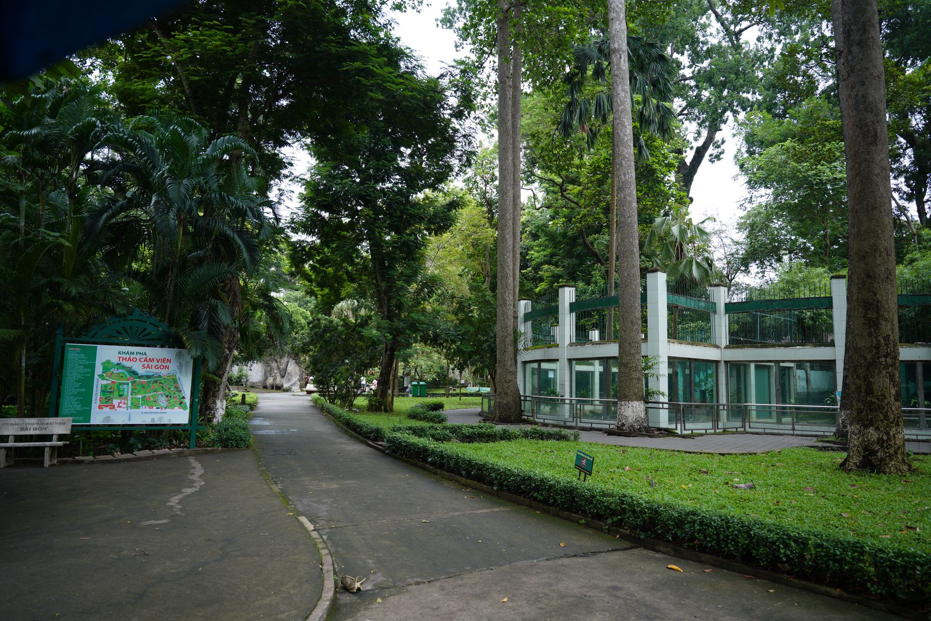 thao dien saigon quiet leafy street